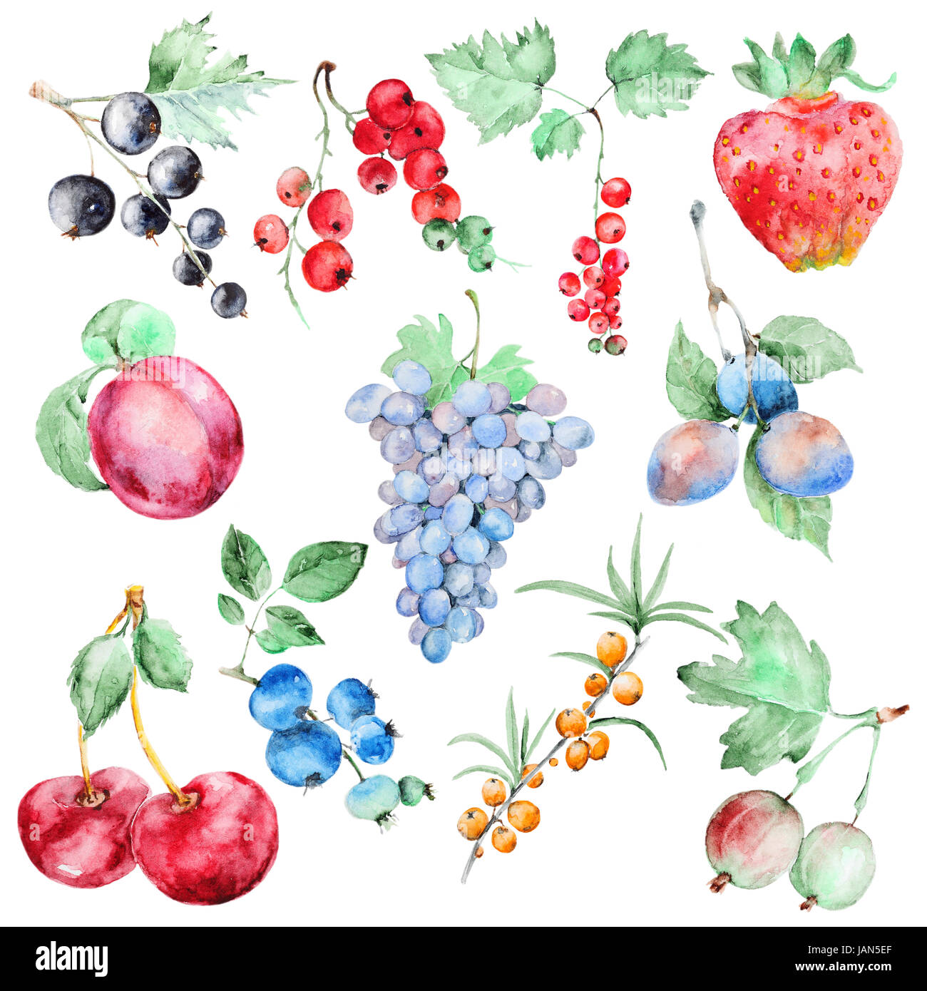 Watercolor fruits set Stock Photo - Alamy