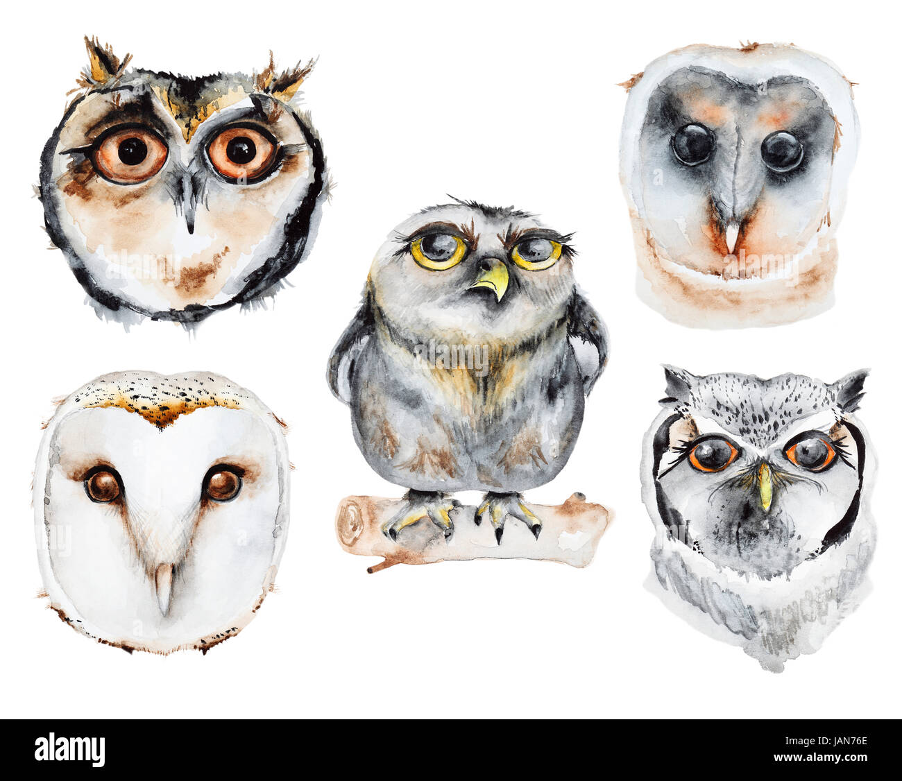 Watercolor owls set Stock Photo