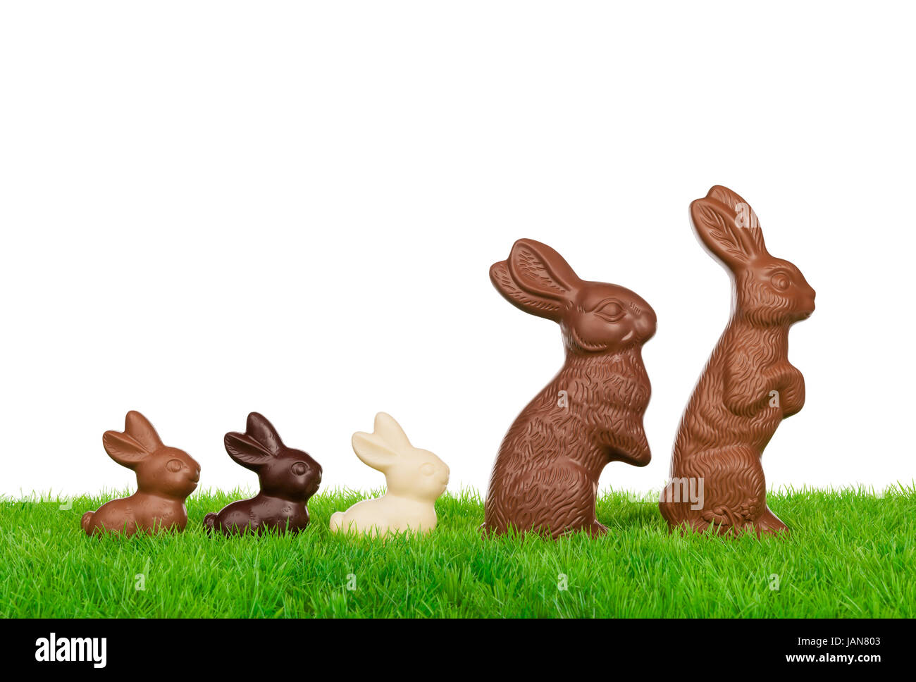 Easter rabbit family easter on a fresh meadow. Isolated on white Stock ...