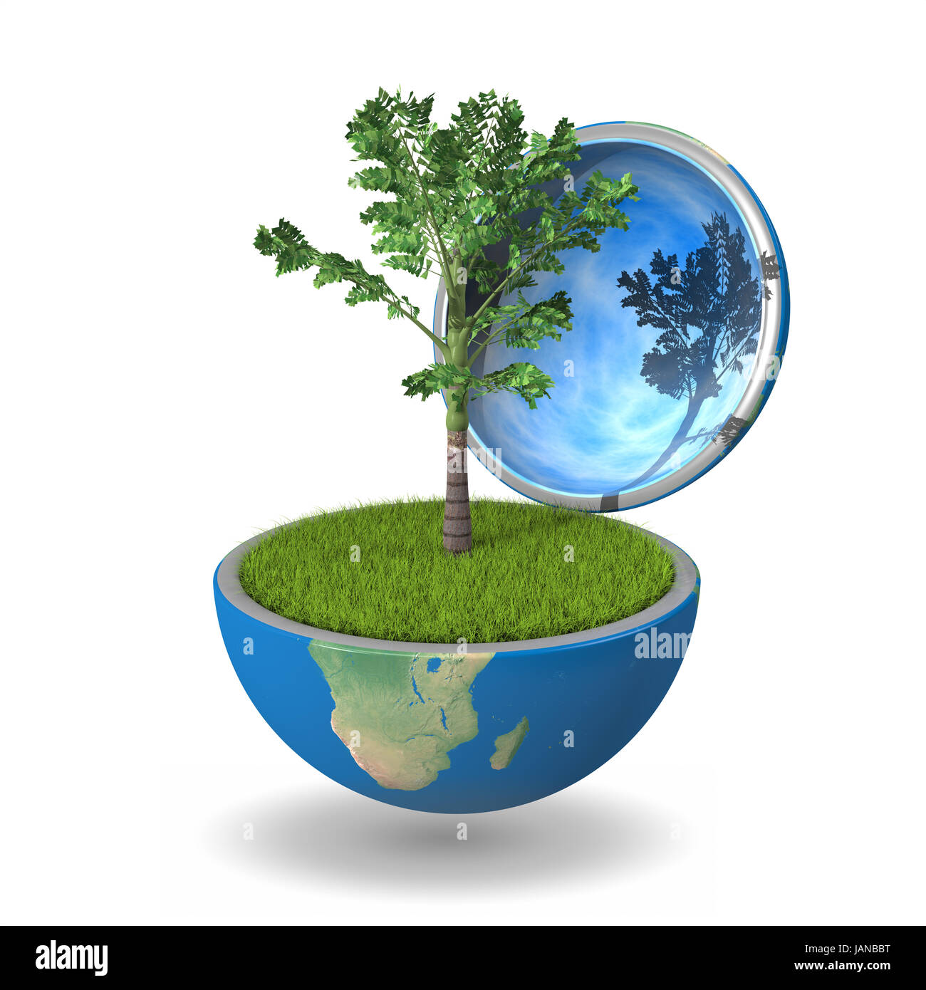 Palm tree growing inside opened Earth, isolated on white background, concept of ecology