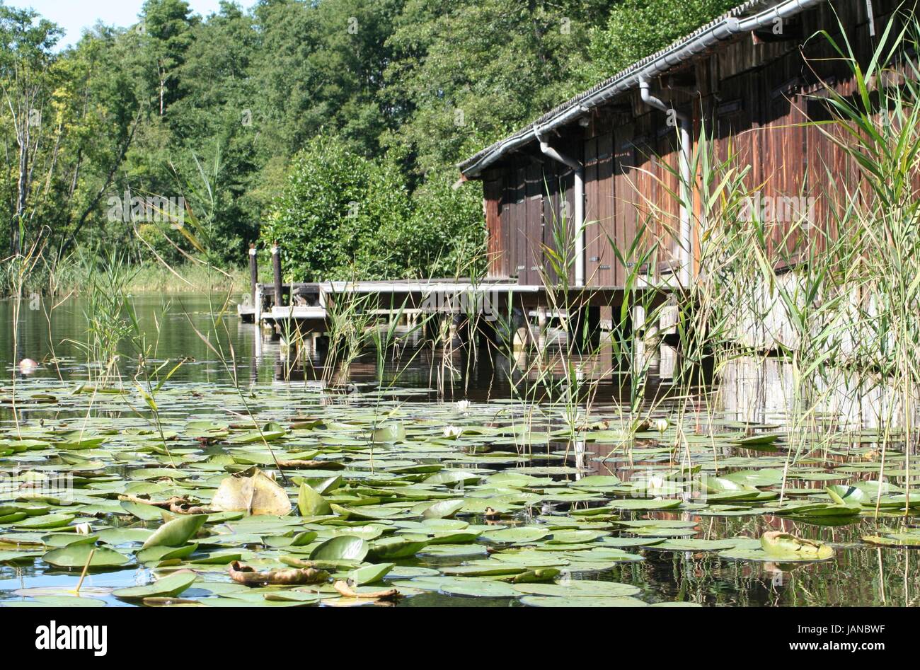 bridge water lilies Stock Photo Alamy