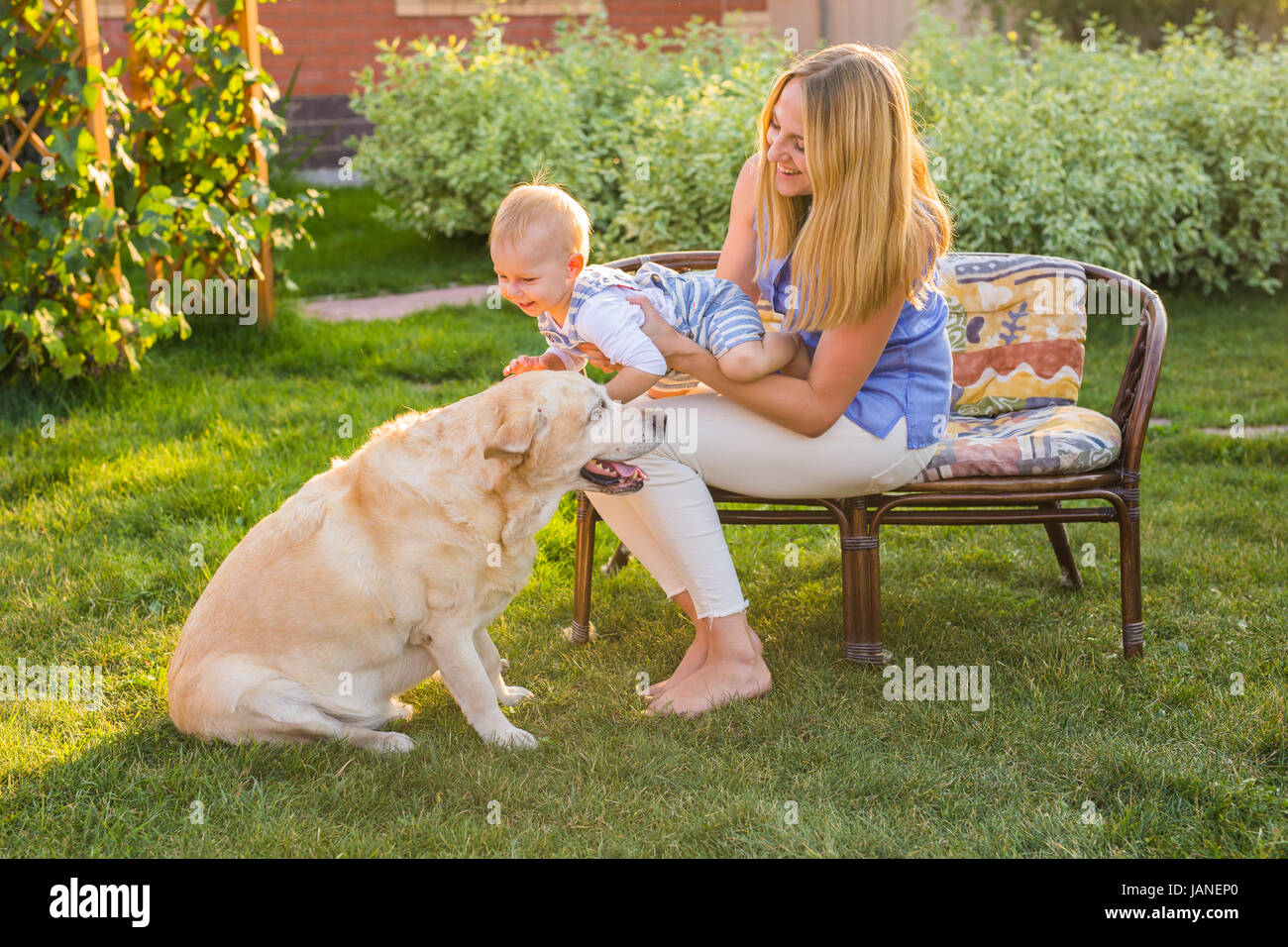 Happy family playing with their dog on a sunny day Stock Photo - Alamy