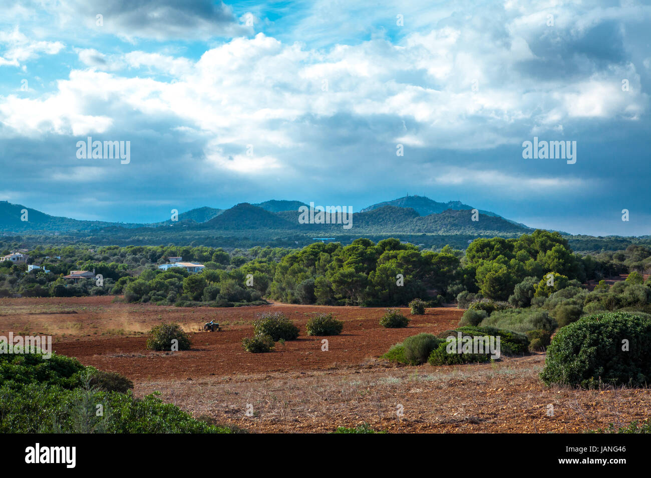 landschaft natur im sommer südeuropa mallorca landwirtschaft erde Stock