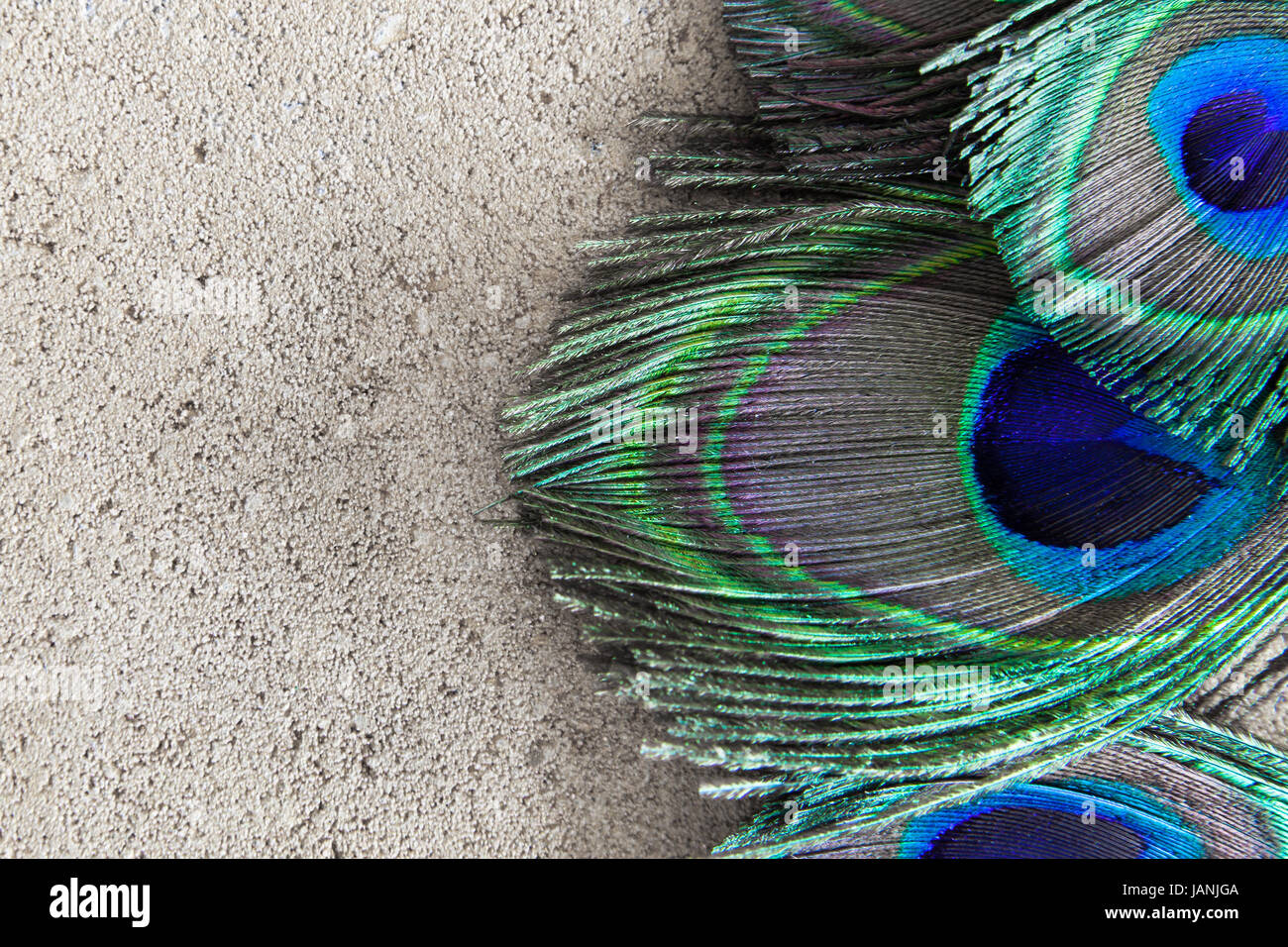 Peacock feather background Stock Photo - Alamy