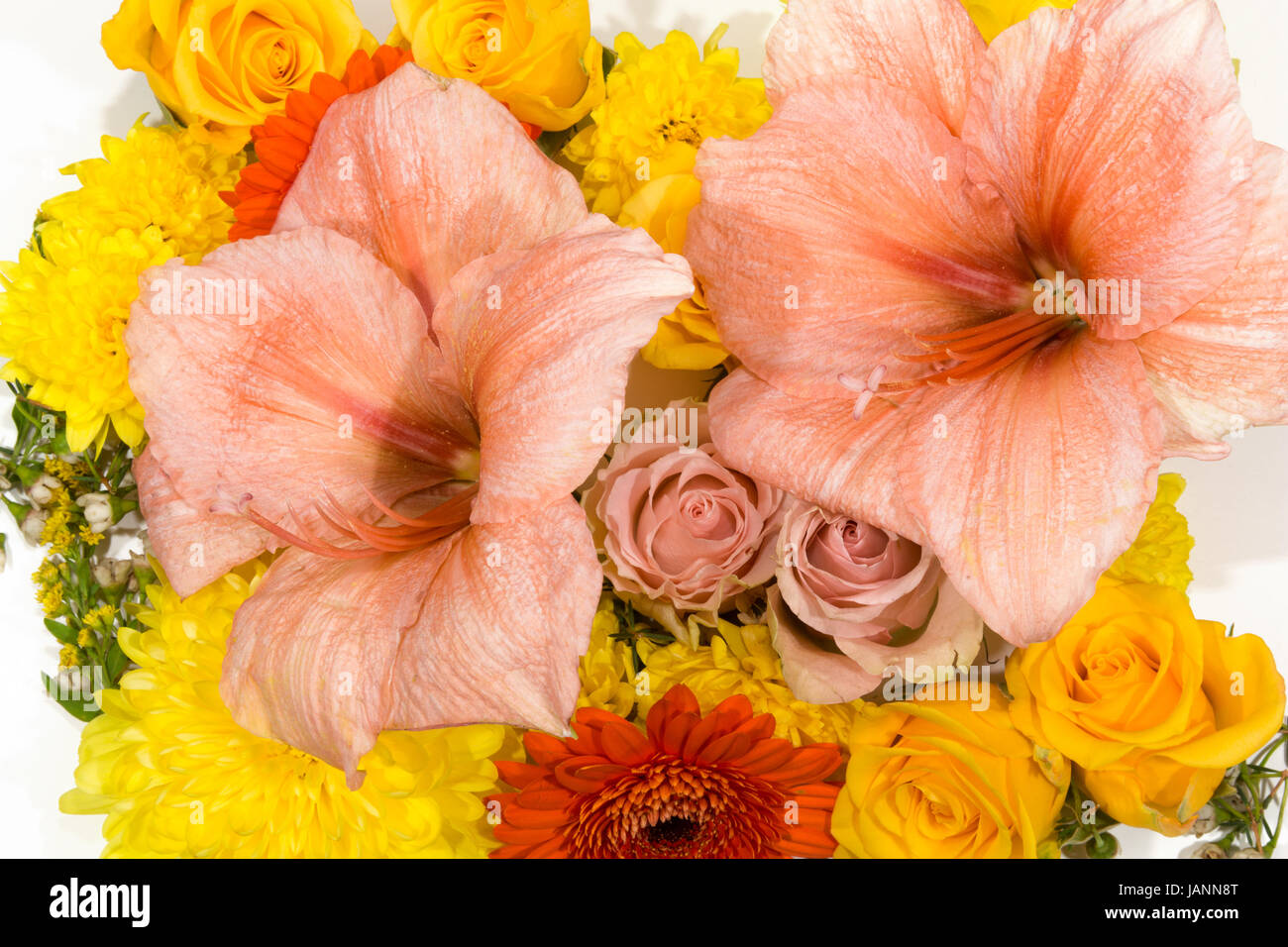 Einzelne Blüten, Rosen, Amaryllis, Chrysanthemen als Blütenteppich Stock Photo