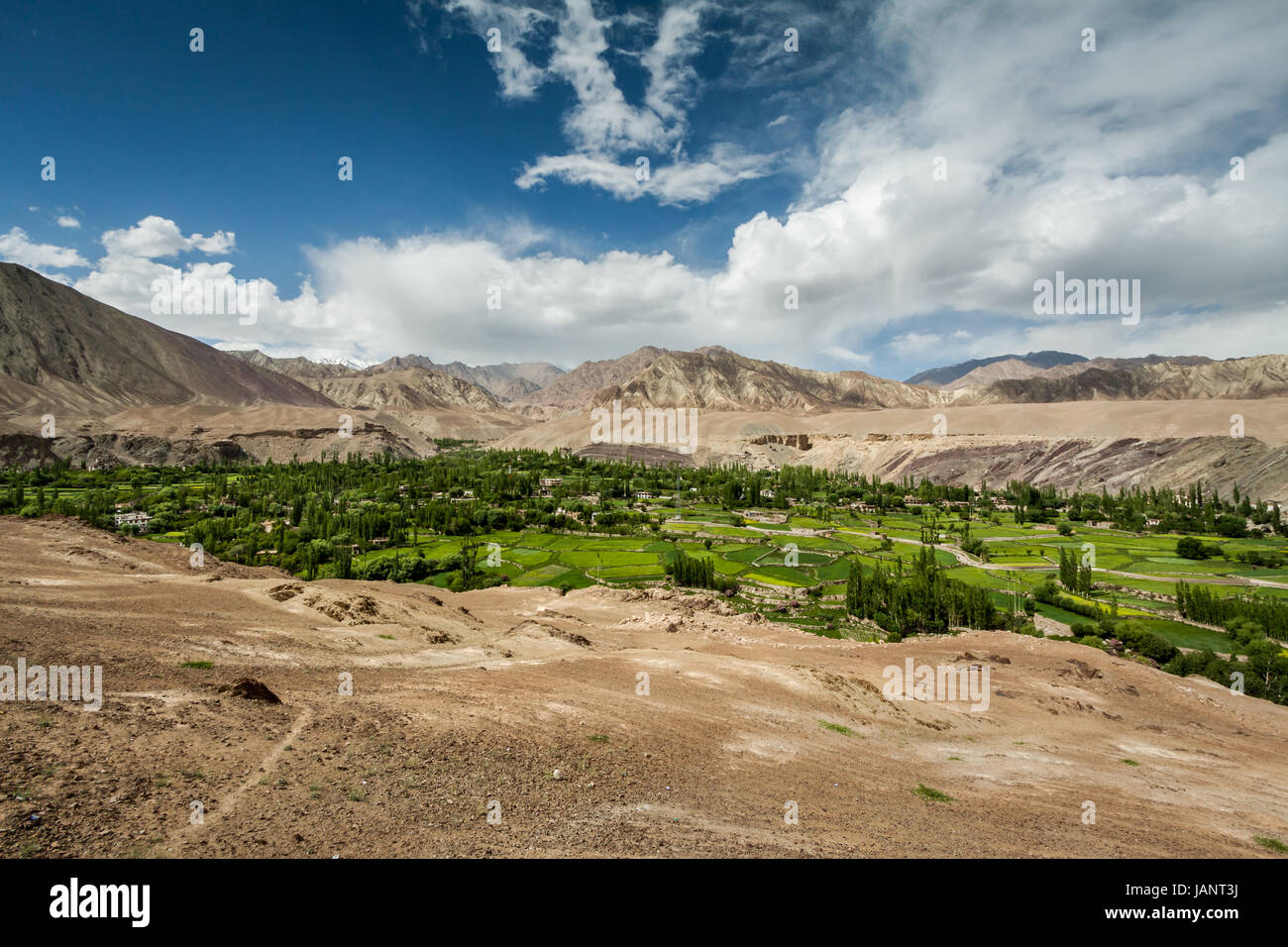 Desert Oasis at Alchi Village in Ladakh region of the Indian Himalaya. A beautiful landscape photography image of a lush green valley amidst barreness Stock Photo