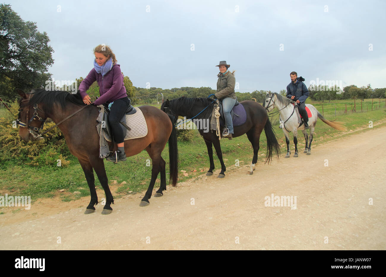 Three people horse riding in countryside near Ronda, Malaga province, Spain Stock Photo