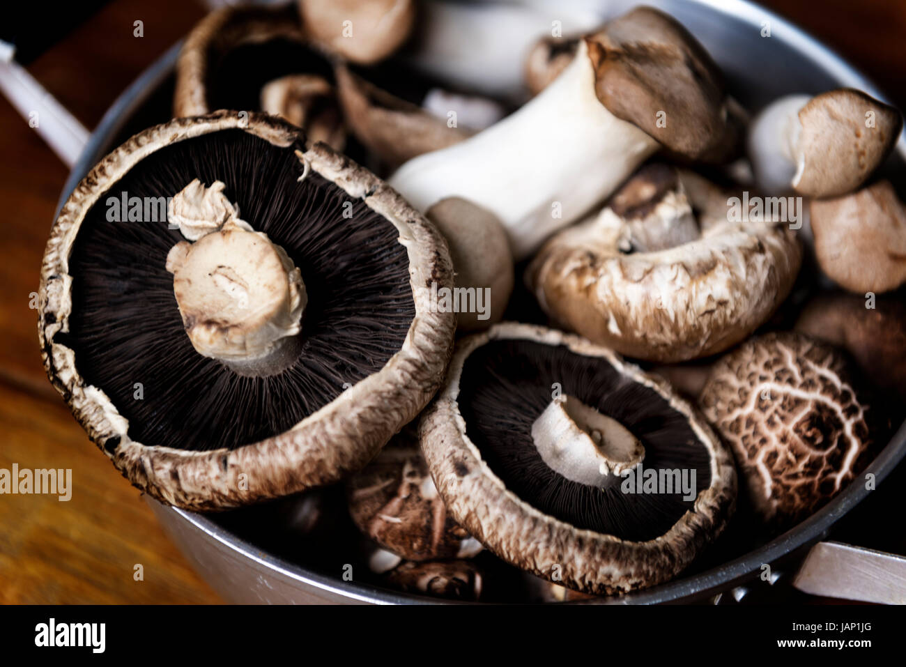 Closeup of fresh eryngii and portobello mushroom Stock Photo Alamy