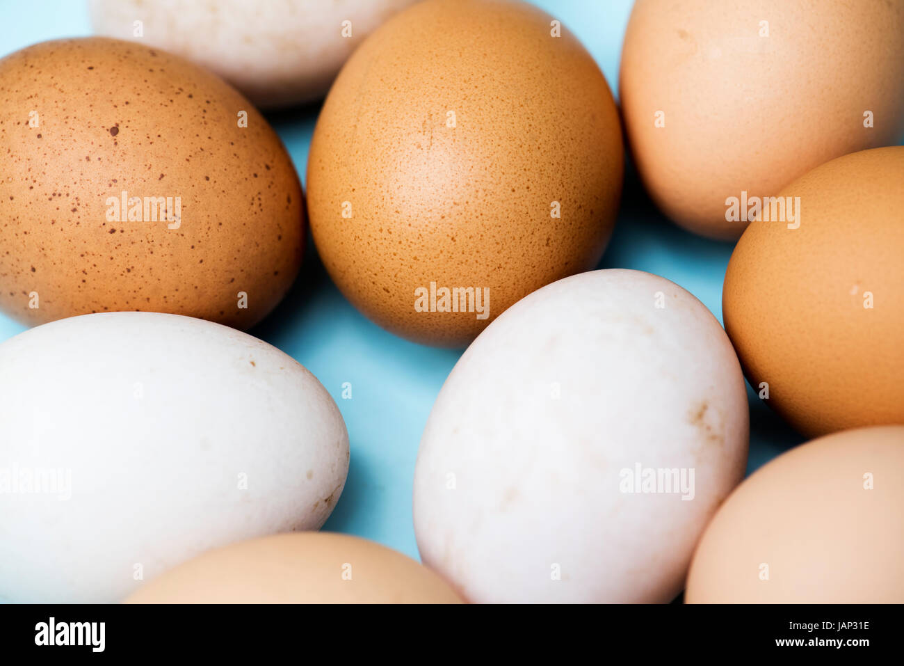 Яйца окрас. Цвет скорлупы куриных яиц. Цвет яиц. Коричневое яйцо. Цвет скорлупы яиц кур.