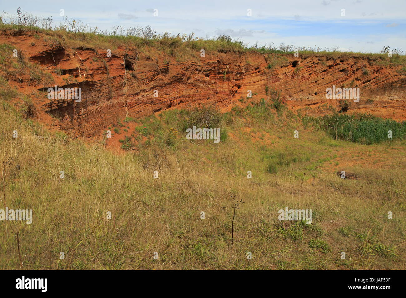 Red crag rock exposed at Buckanay Pit quarry, Alderton, Suffolk, England  showing cross bedding of strata and biotic weathering from sand martins  Stock Photo - Alamy