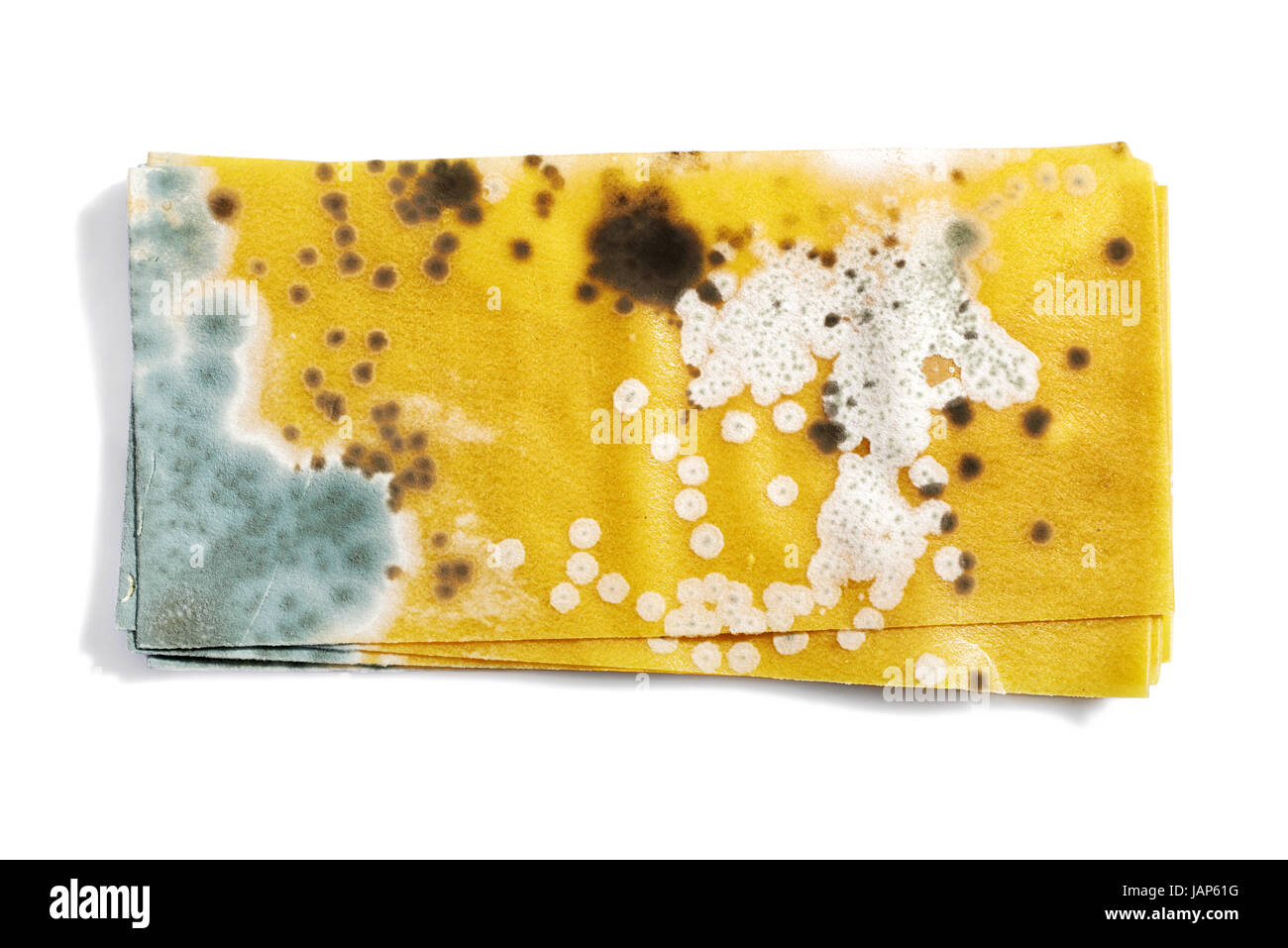 Mold on noodles for lasagna Stock Photo Alamy