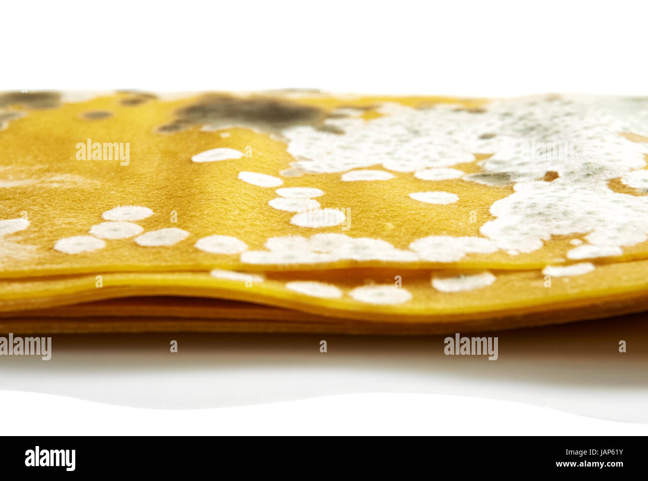 Mold on noodles for lasagna Stock Photo Alamy