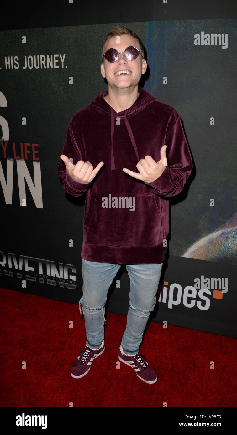 Los Angeles, USA. 6th Jun, 2017. Cal Scruby at the premiere of Riveting