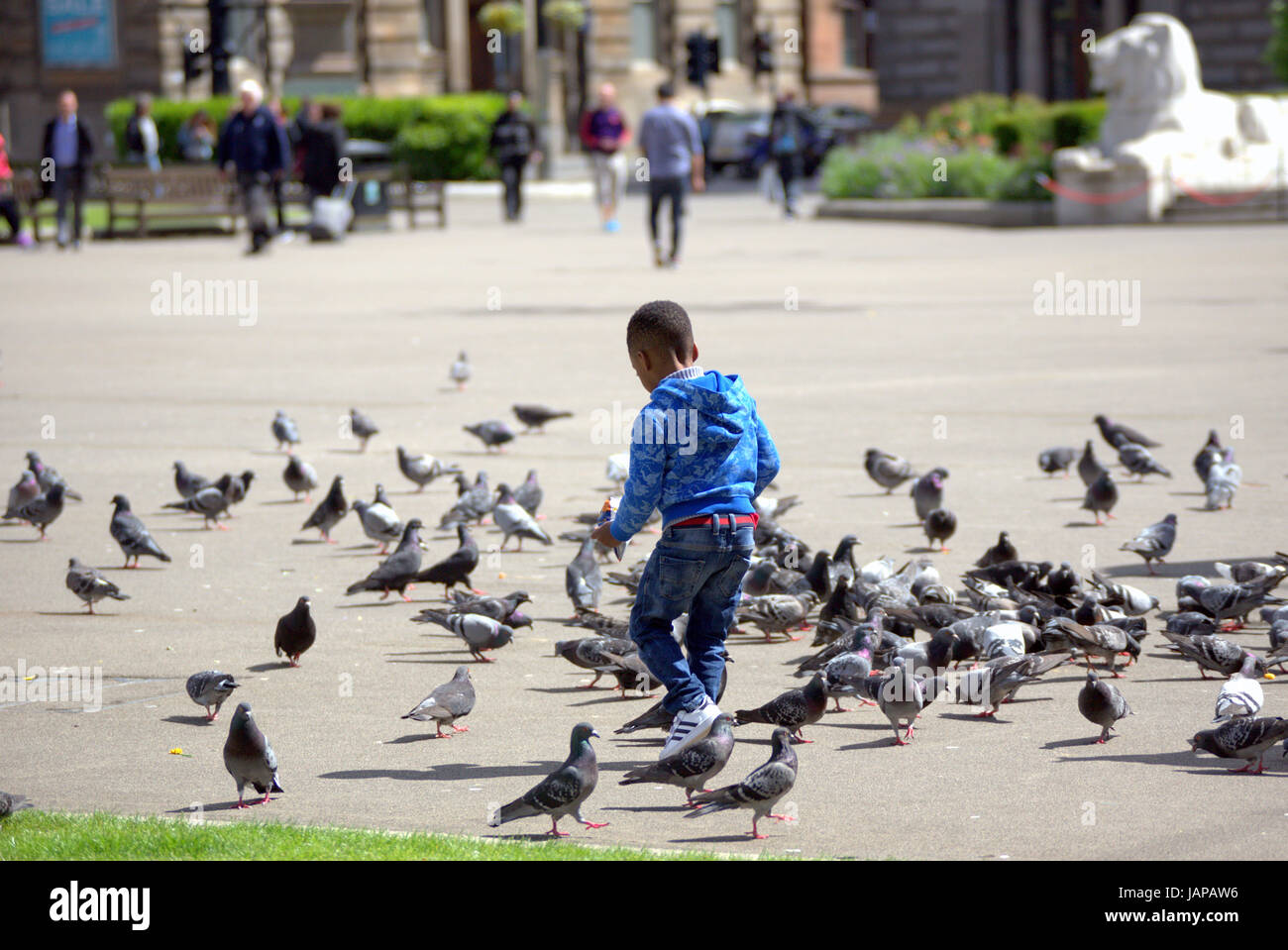 'tittle black boy in George square Glasgow Scotland chasing the pigeons Stock Photo