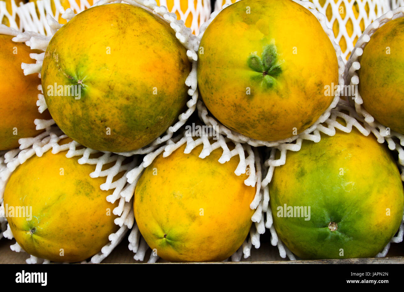 A pile of fresh green papayas in a basket Stock Photo - Alamy