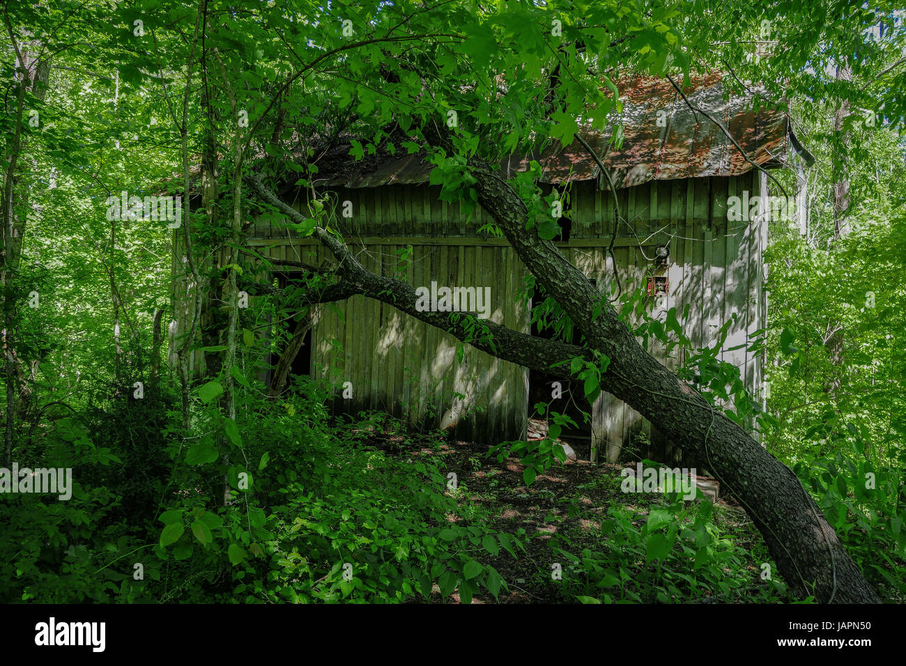HAUNTING images have offered a glimpse into the town where ‘District 12 