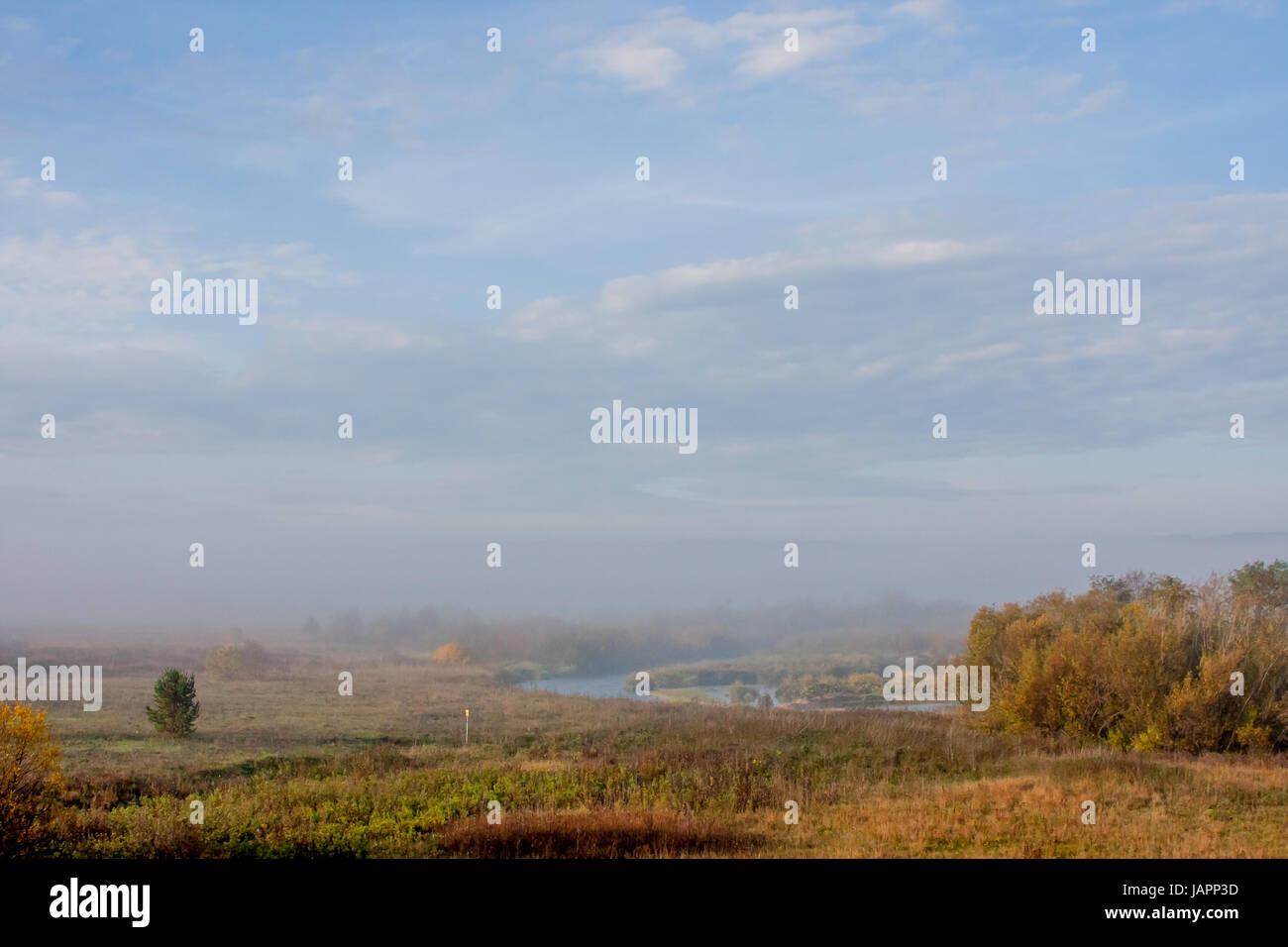 Fog over the forest early in the morning, Russia Stock Photo - Alamy