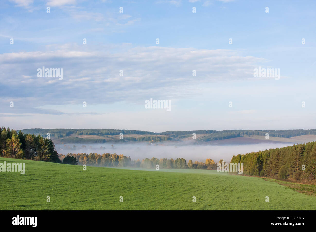 Fog over the forest early in the morning, Russia Stock Photo - Alamy