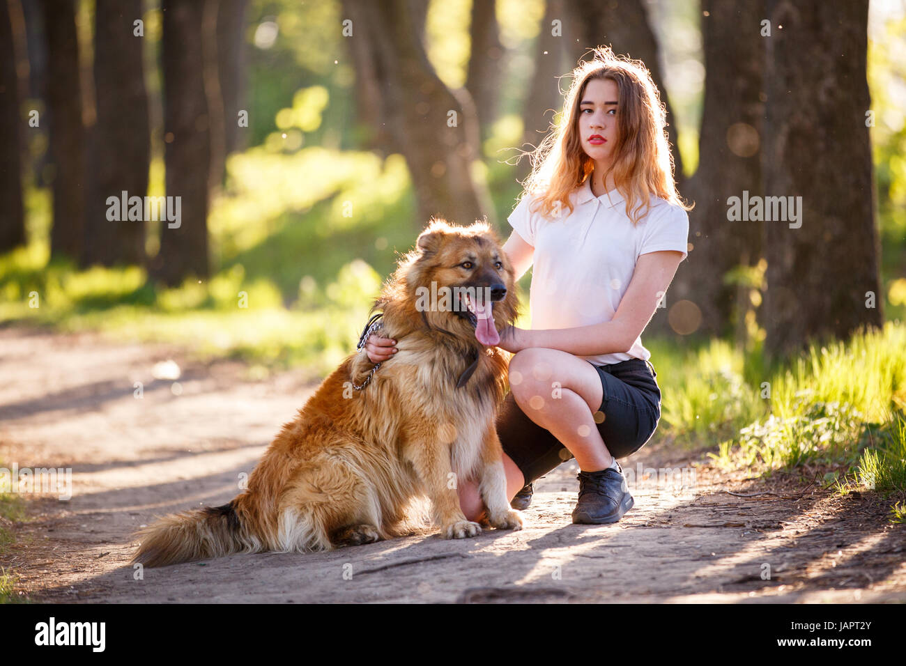 Teenage girl in white shirt with her dog sitting on pathway in the park ...