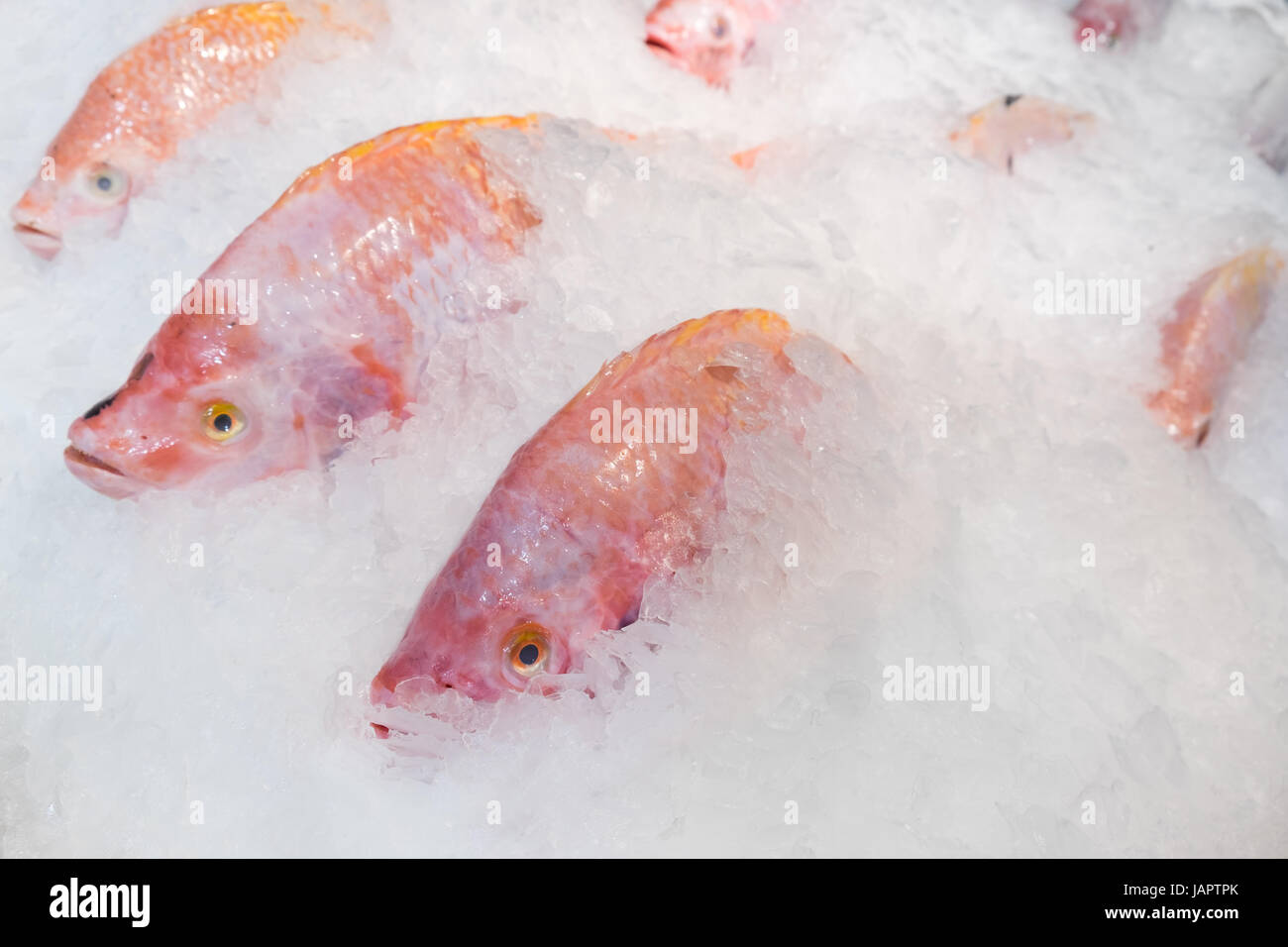 Fish in ice bucket hi-res stock photography and images - Alamy