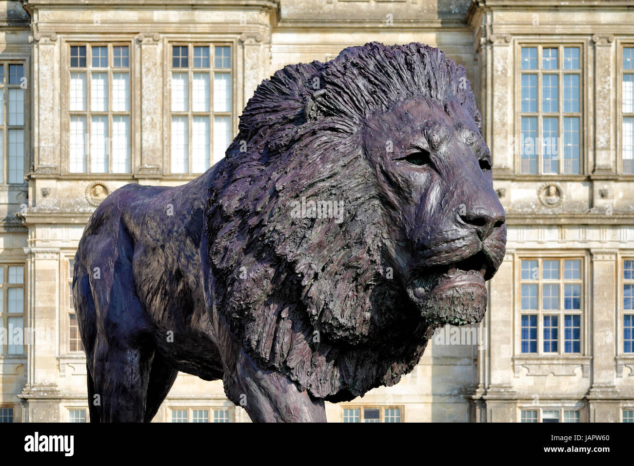 Longleat House, Wiltshire, UK. 17th March, 2016. A magnificent sculpture of a lion by African based sculptor Bruce Little. Stock Photo