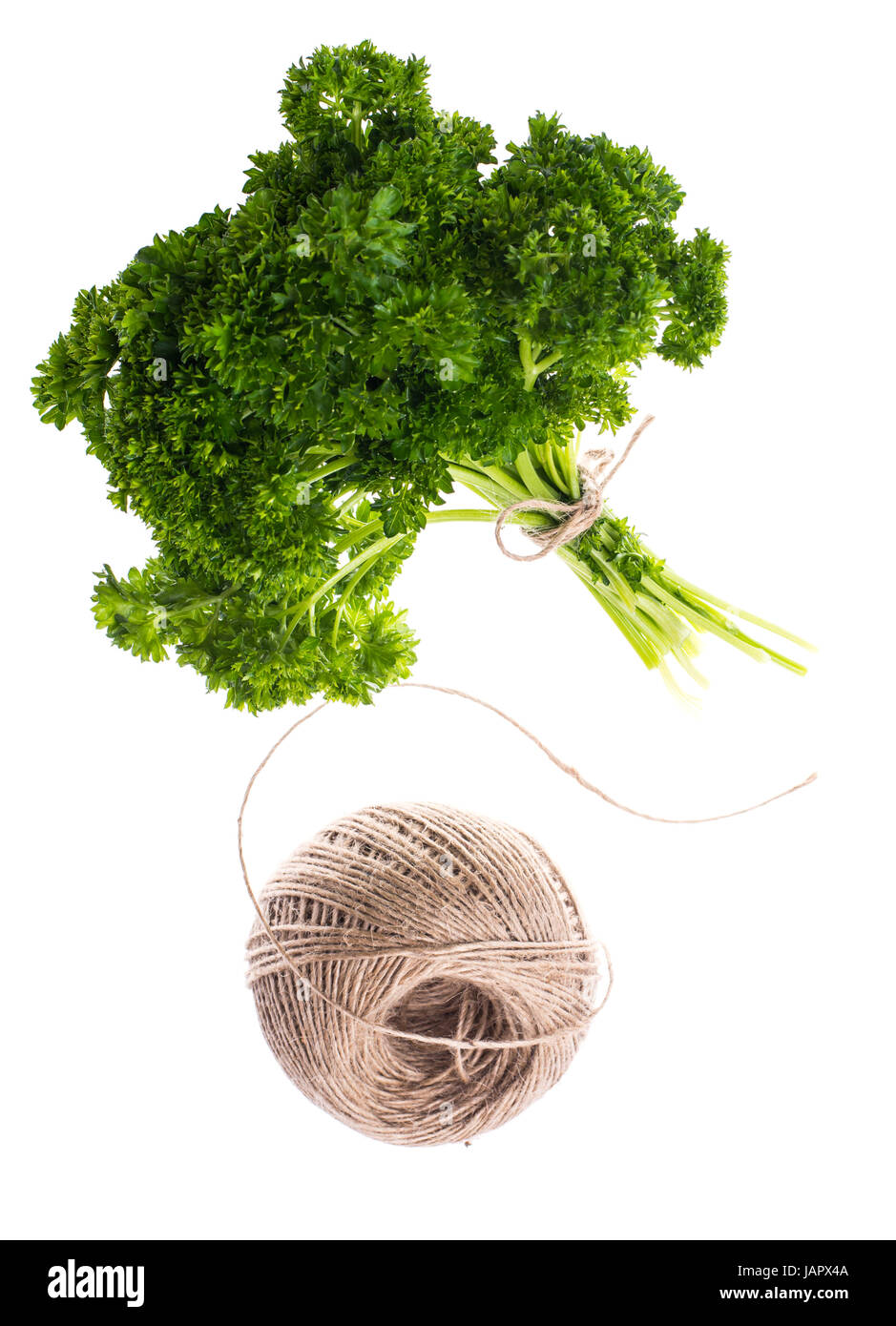 A bunch of fresh green parsley on white background Stock Photo - Alamy
