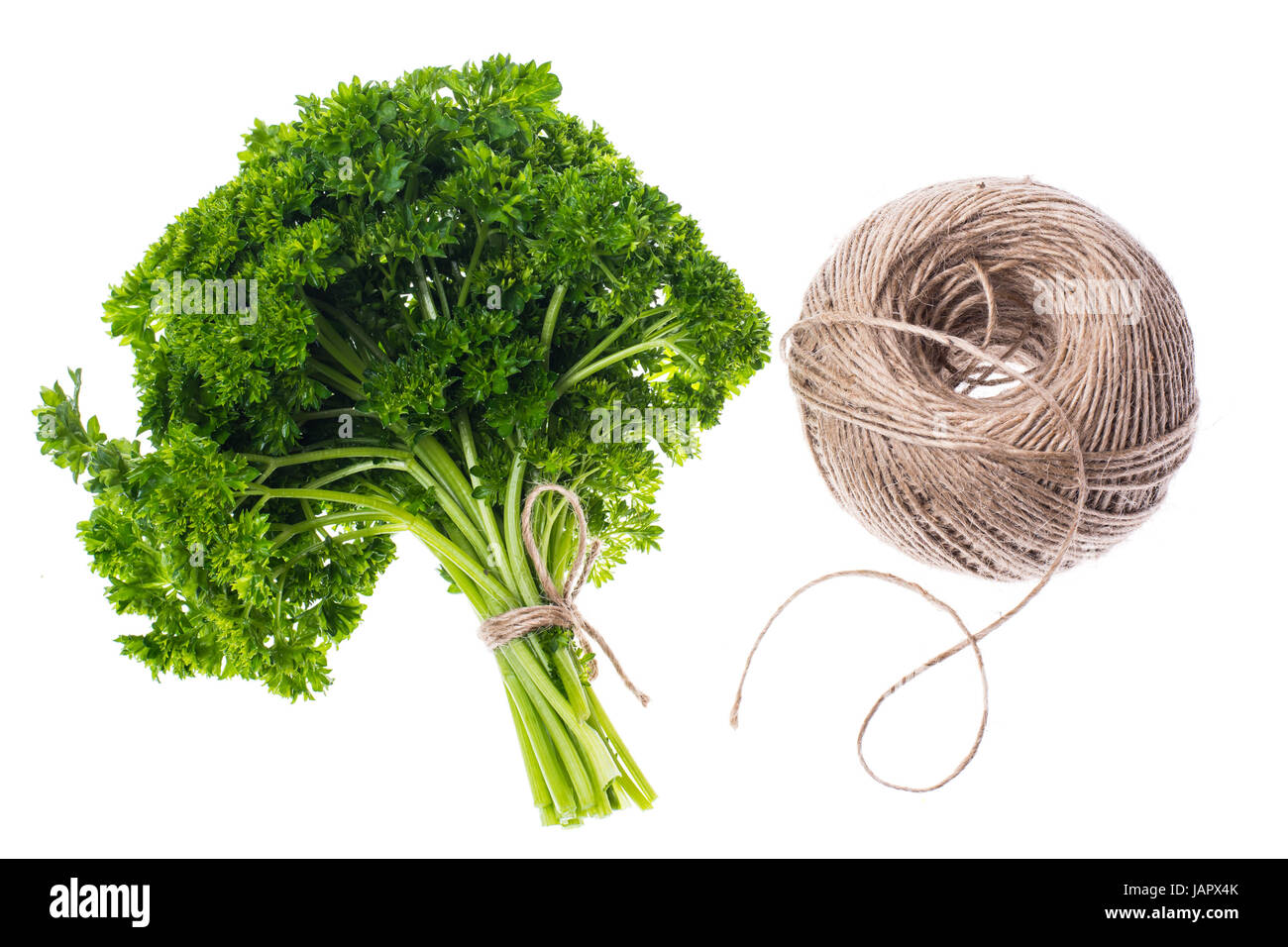 A bunch of fresh green parsley on white background Stock Photo - Alamy
