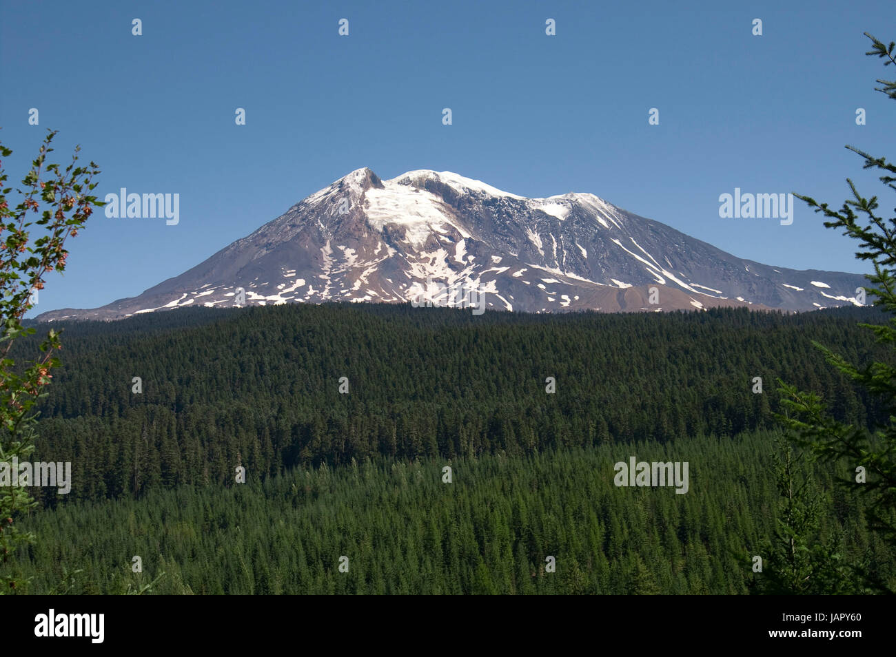 The peak that is Mt Adams in Washington State Stock Photo