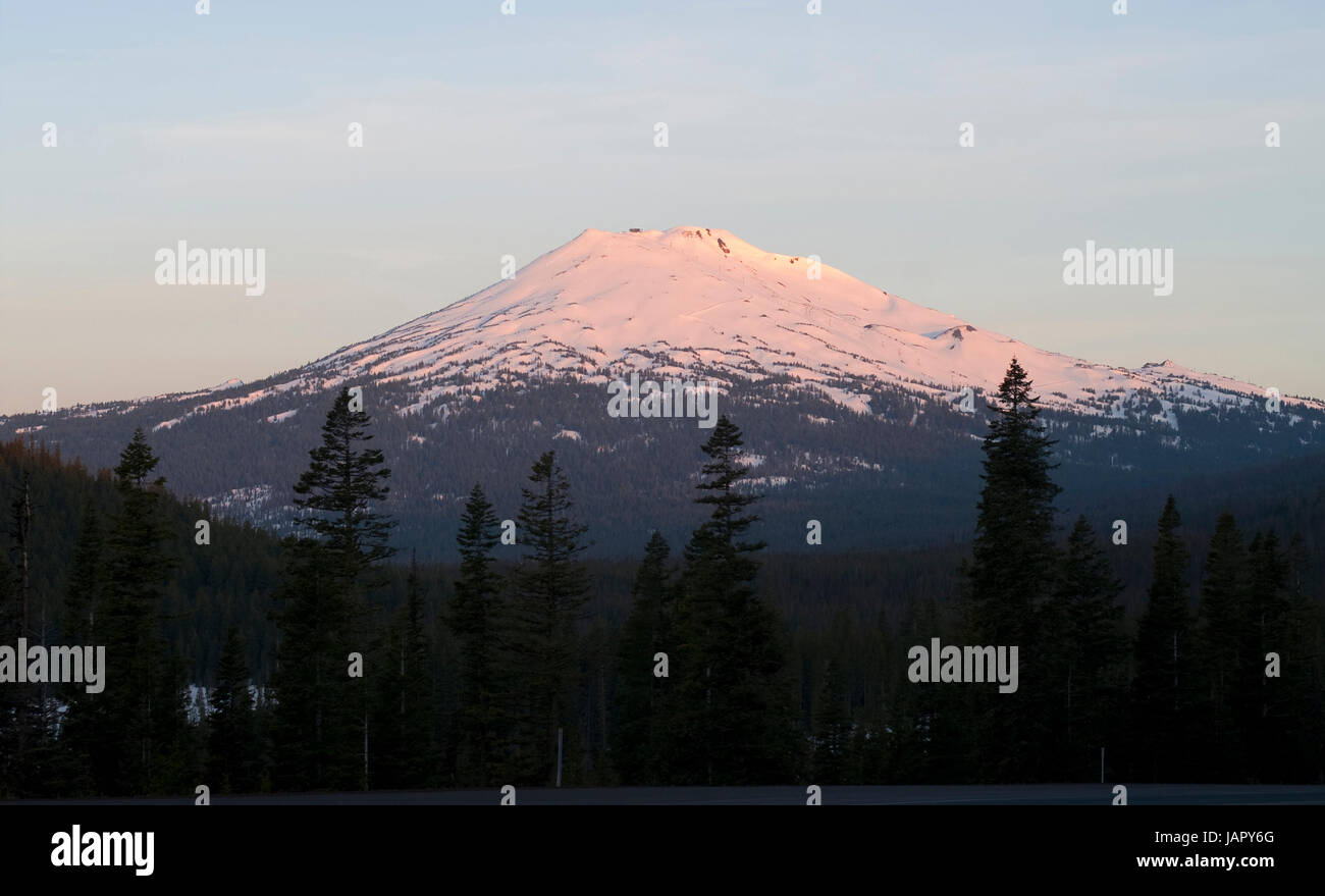 Forested area around Mt. Bachelor in the Oregon High Cascades Stock