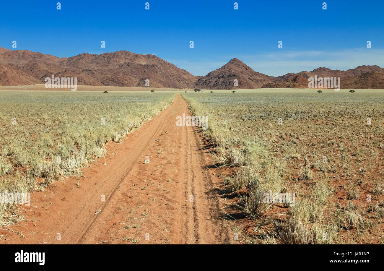 Lonely desert road passes hi-res stock photography and images - Alamy