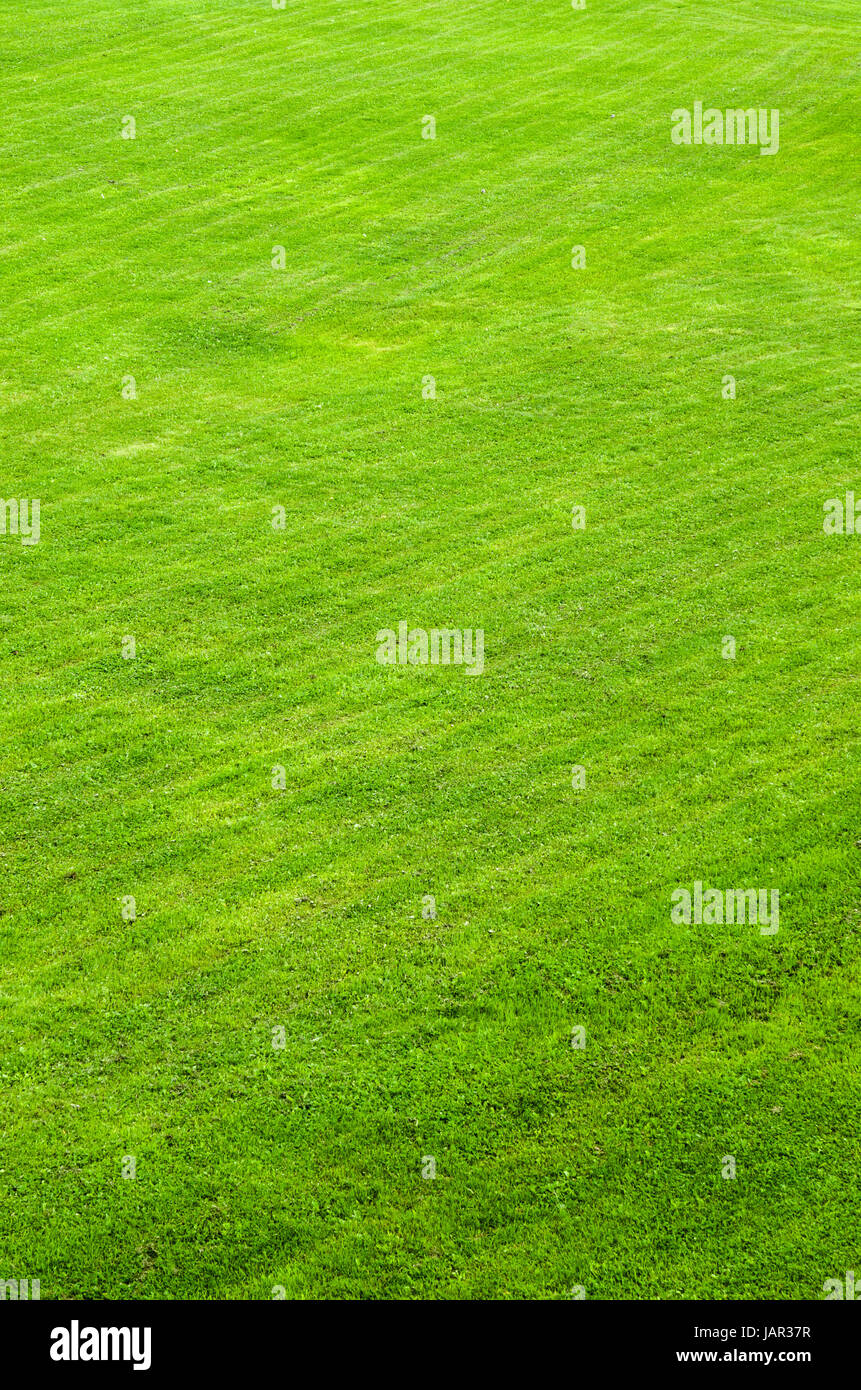 Short trimmed lawn hi-res stock photography and images - Alamy