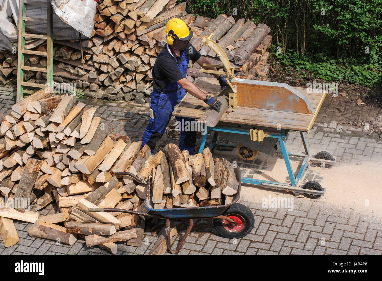 sawing firewood Stock Photo