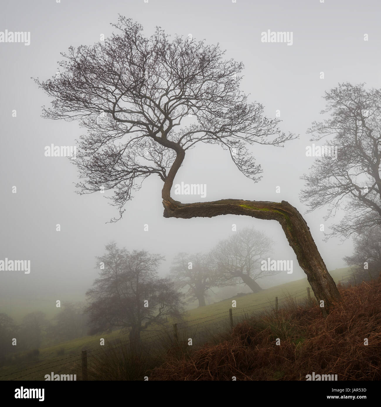 Bending over backwards hi-res stock photography and images - Alamy