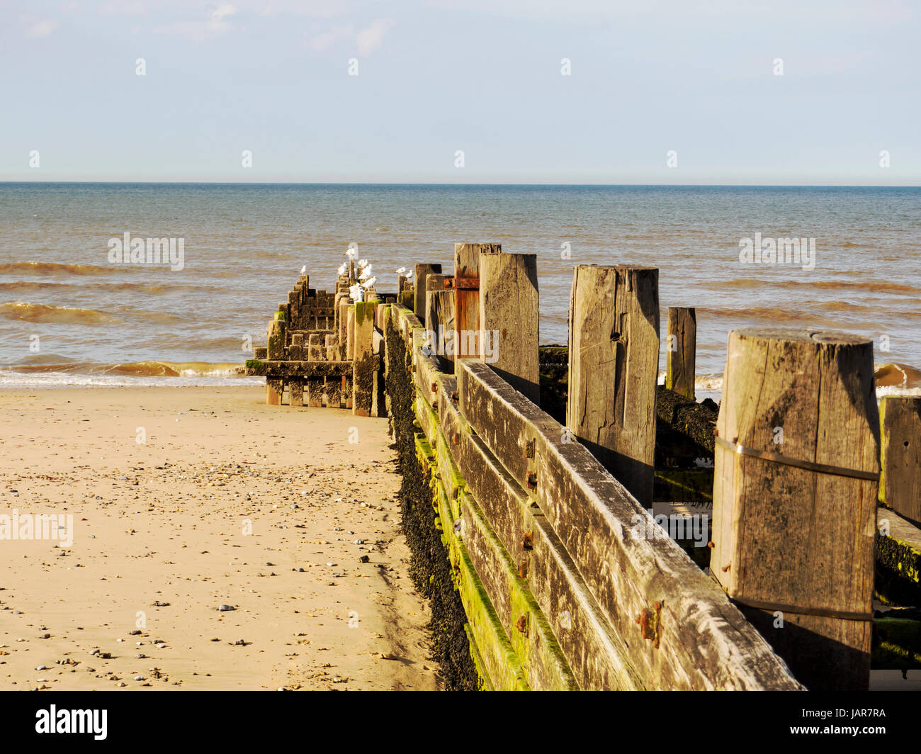 Wooden groyne, a part of the sea defences at Walcott on the North Norfolk coast. Stock Photo