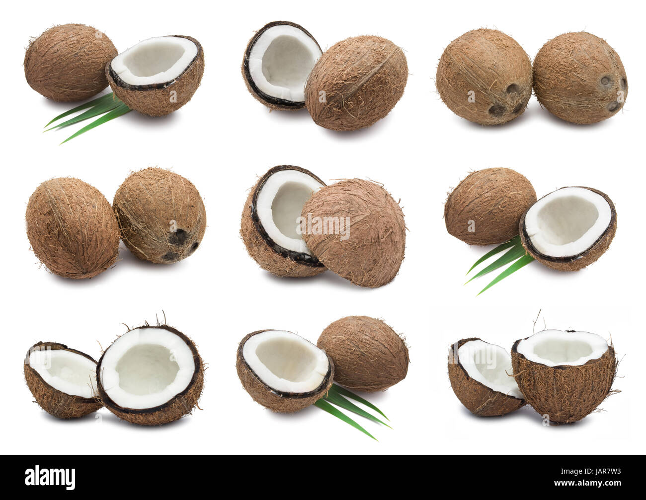 Collection of fresh coconuts isolated on white background Stock Photo ...