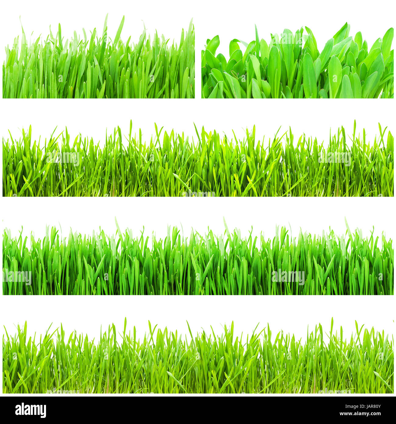 Fresh green grass isolated on white background Stock Photo - Alamy