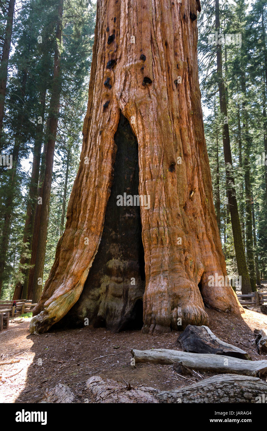 summerly california Stock Photo