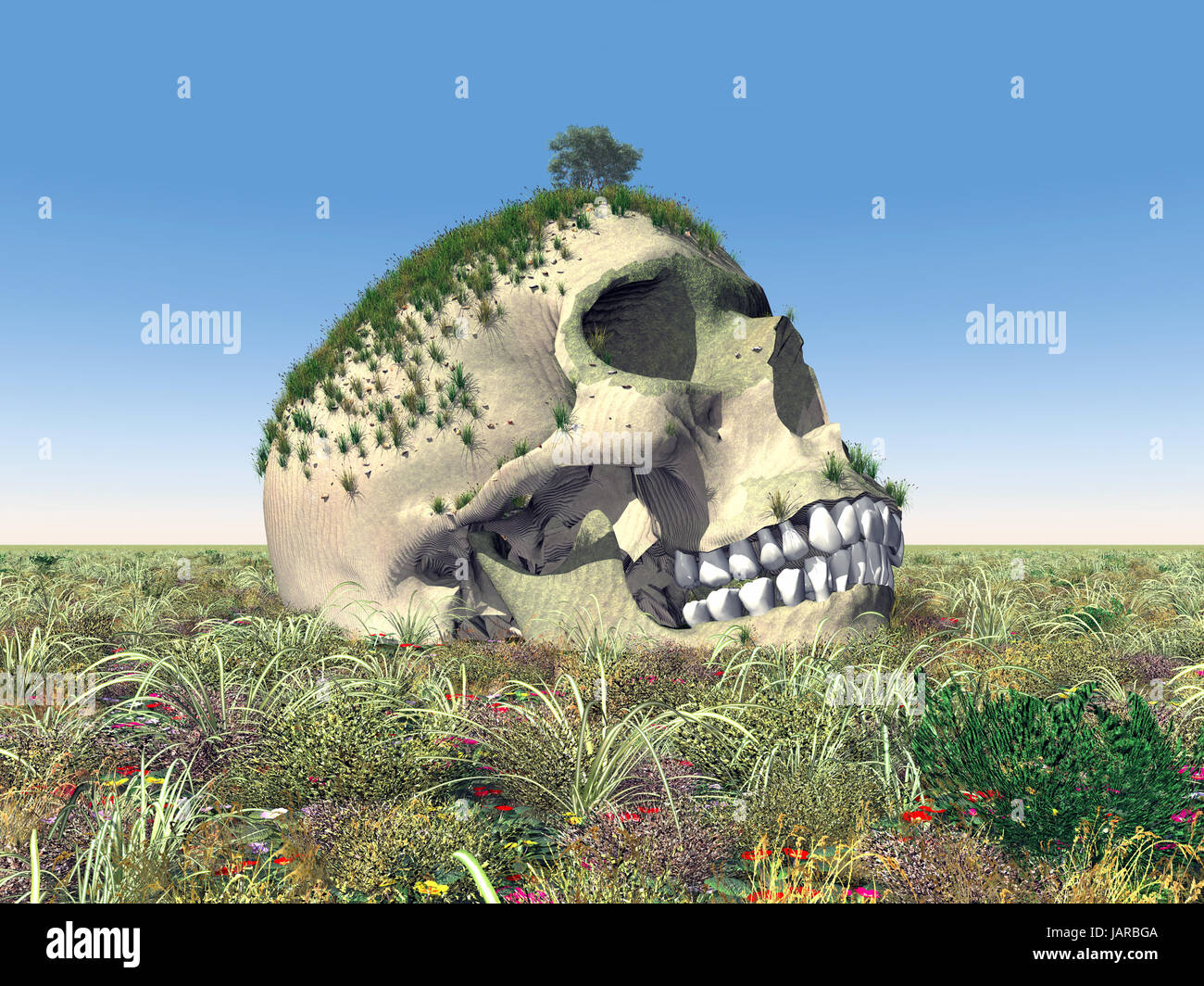human skull in a landscape Stock Photo