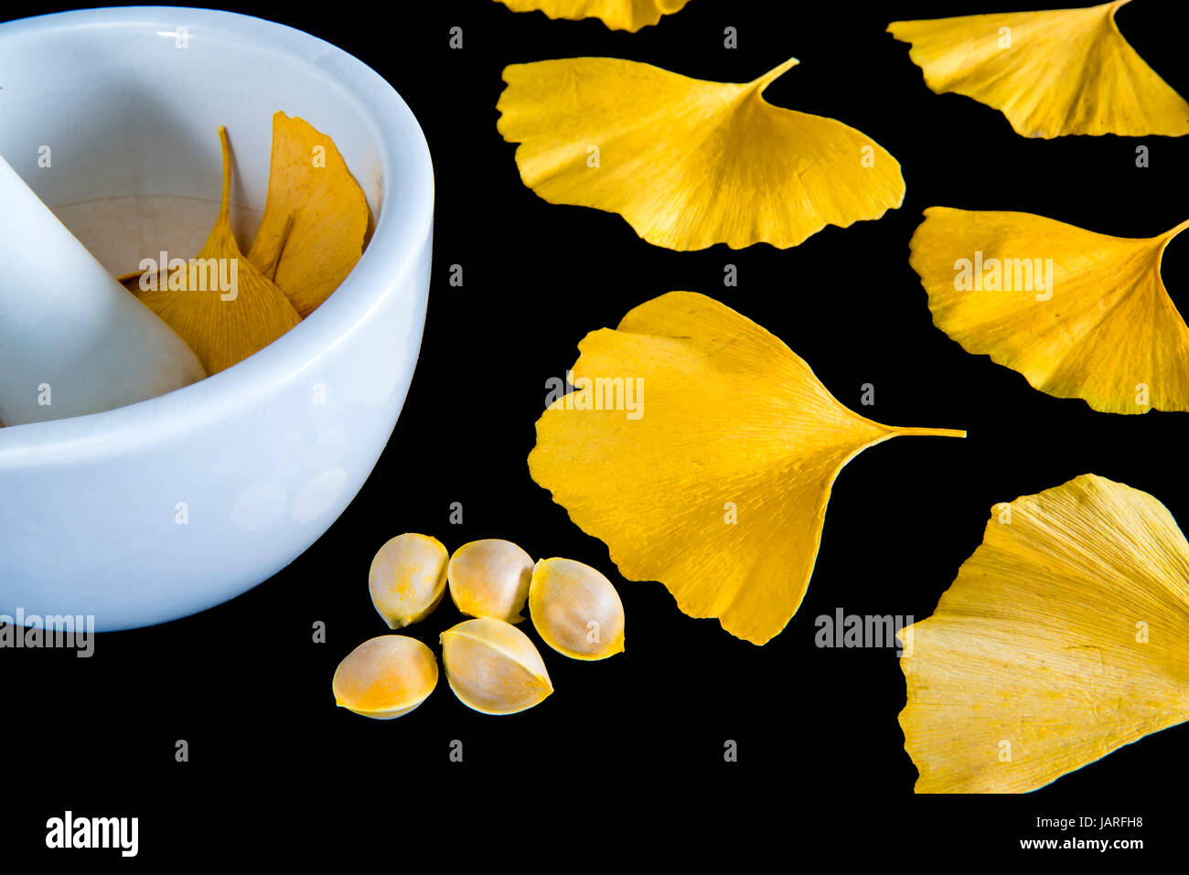 Ginkgo Blätter und Früchte Stock Photo