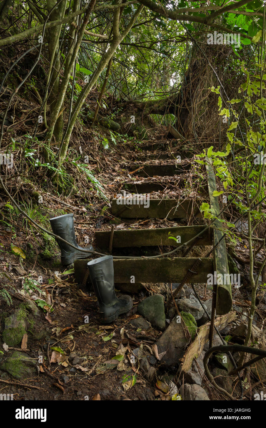 A pair of gum boots on a old bush track steps. Stock Photo