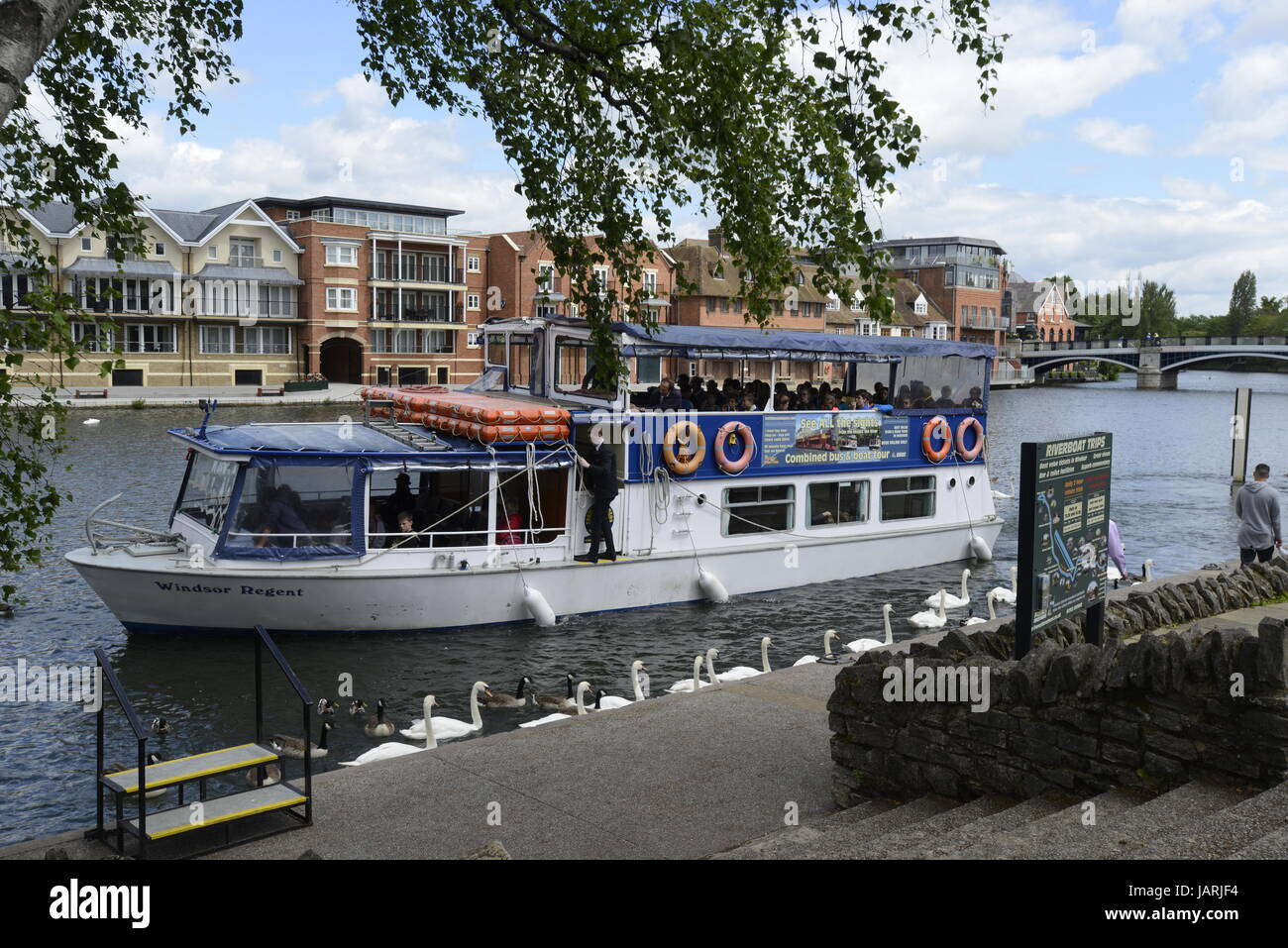 boat trip windsor