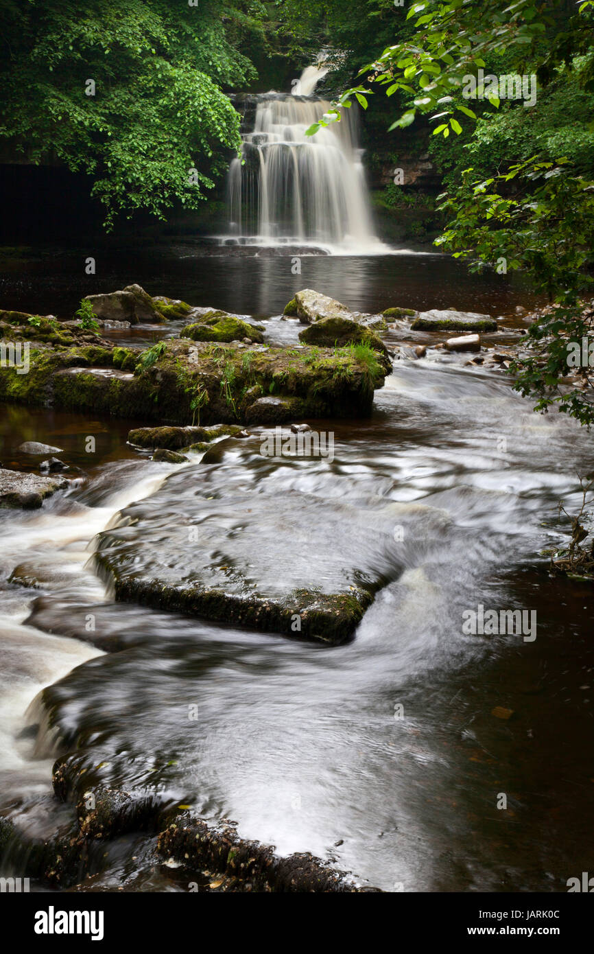 West Burton Falls, also known as Cauldron Force, Wensleydale, North Yorkshire Dales Stock Photo
