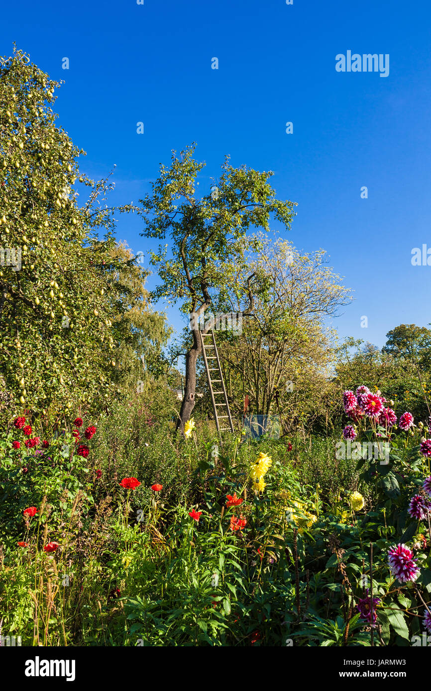Garten mit Obstbäumen und Blumen Stock Photo Alamy