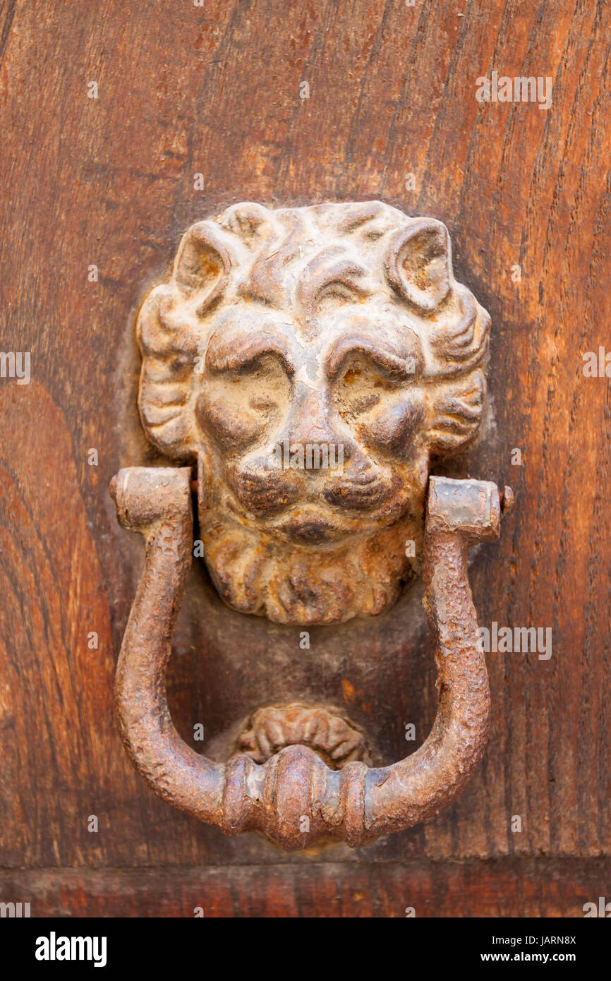 Decorative bronze lion head door knob handle Stock Photo Alamy