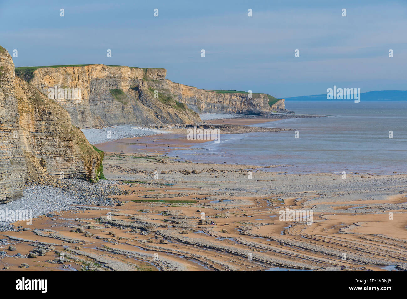 Sea cliff and wave cut platform details at the shore line in South Wales-UK. Stock Photo