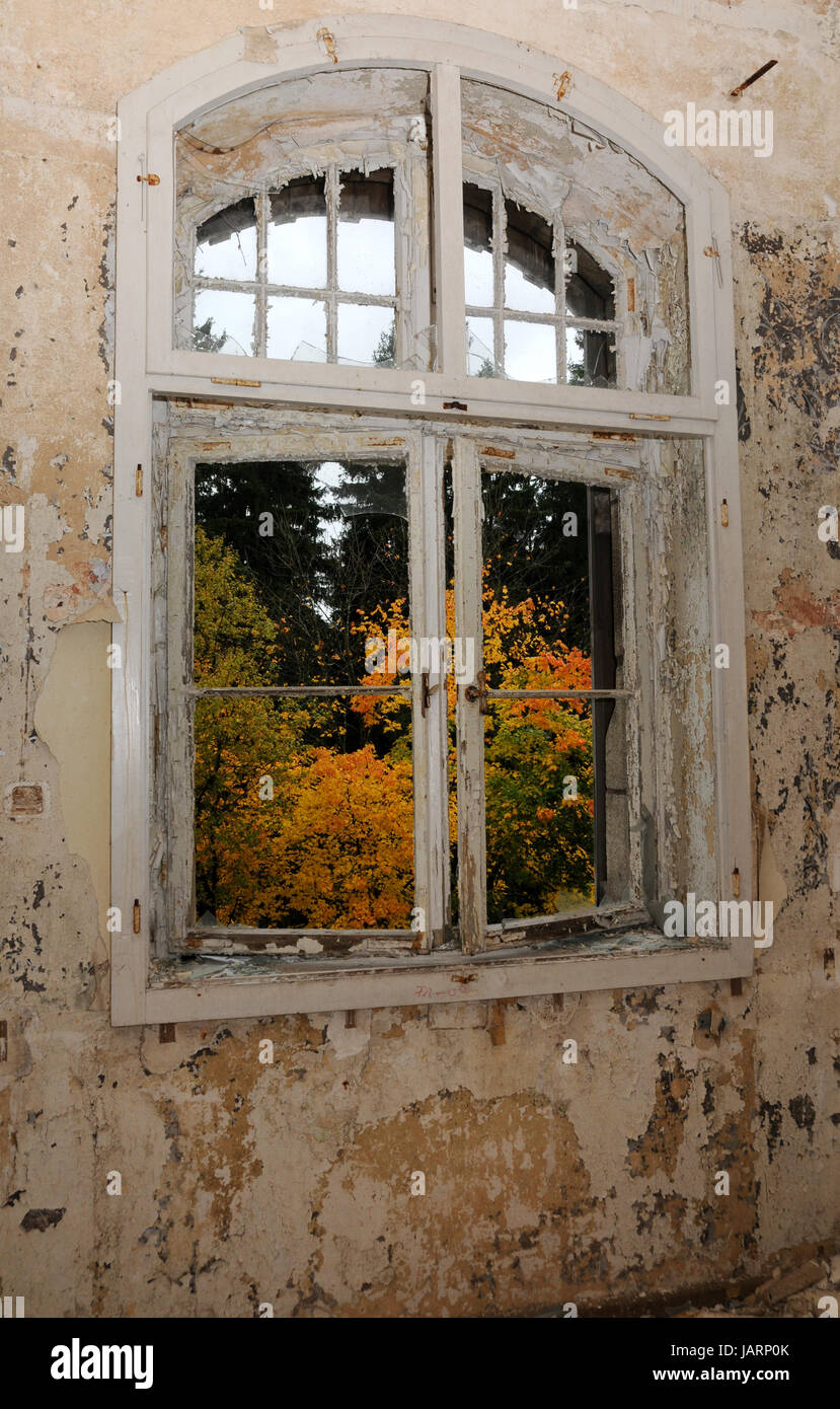 at the window Stock Photo