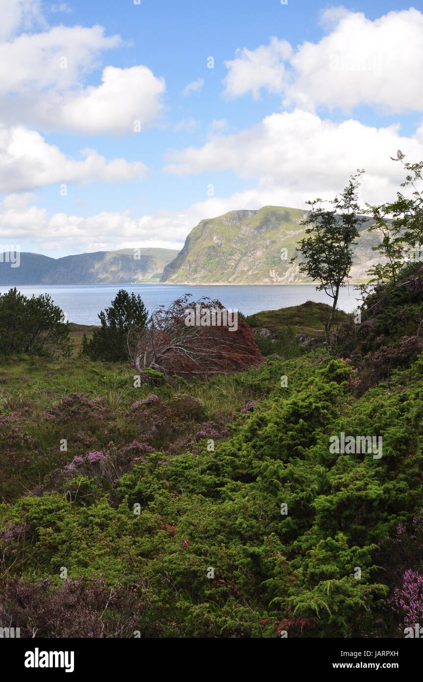 Selja island hires stock photography and images Alamy