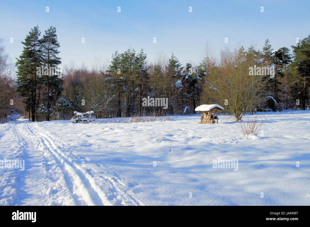 Weg und Skispuren durch eine Winterlandschaft; sonniger Tag mit blauem Himmel Path and ski trails through a winter landscape; sunny day with blue sky Stock Photo