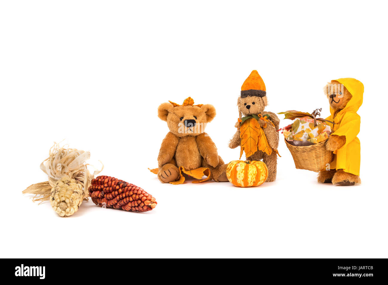teddybaeren high resolution stock photography and images alamy