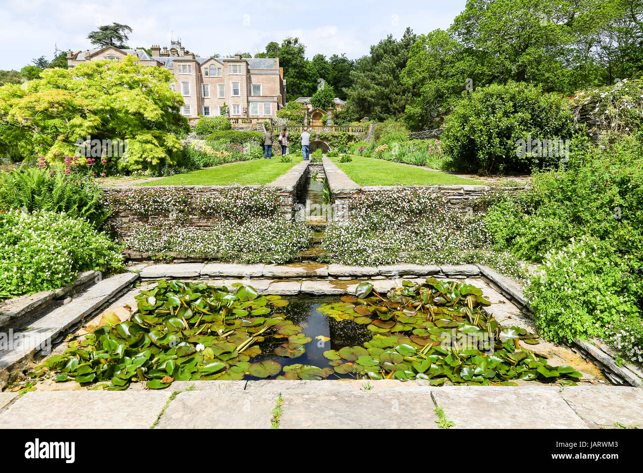 House and Gardens West Monkton Cheddon Fitzpaine near